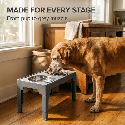 His Turn ™ Steady Table