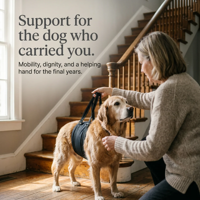 His Turn ™ Dog Lift Harness
