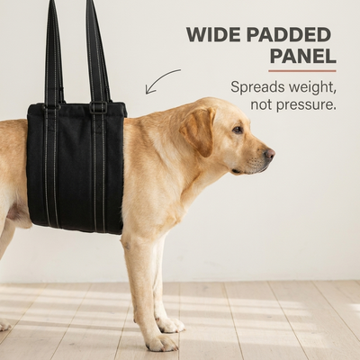 His Turn ™ Dog Lift Harness