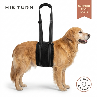 His Turn ™ Dog Lift Harness